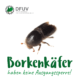 Die Borkenkäfer haben keine Ausgangssperre