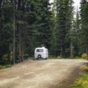 Wald campen