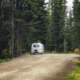 Wald campen