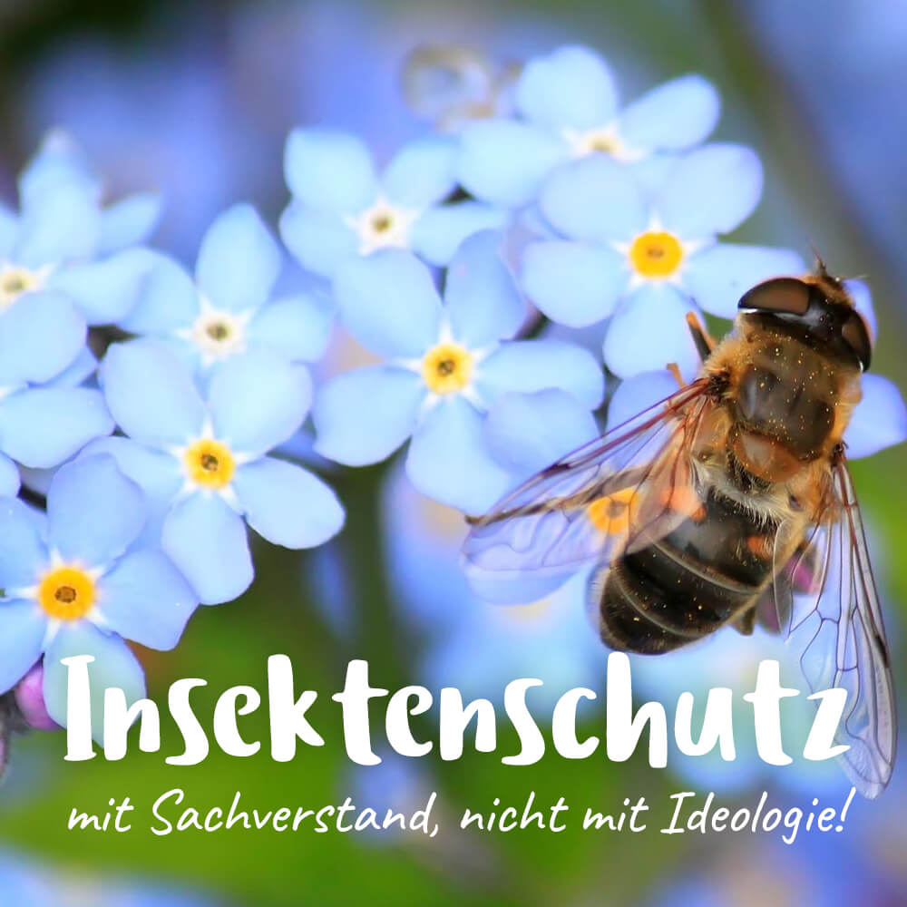 Insektenschutzpaket