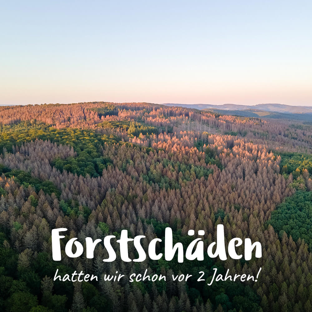 DFUV-Forst-Wald-Forstschäden