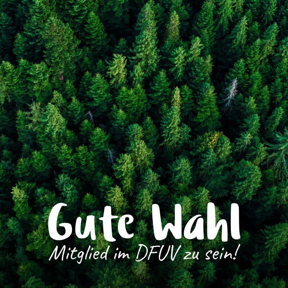 Wahl