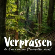 Flächenstilllegung von Wäldern leistet keinen dauerhaften Beitrag zum Klimaschutz