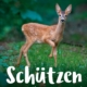 Schützen muss man die Natur – aber bitte richtig!